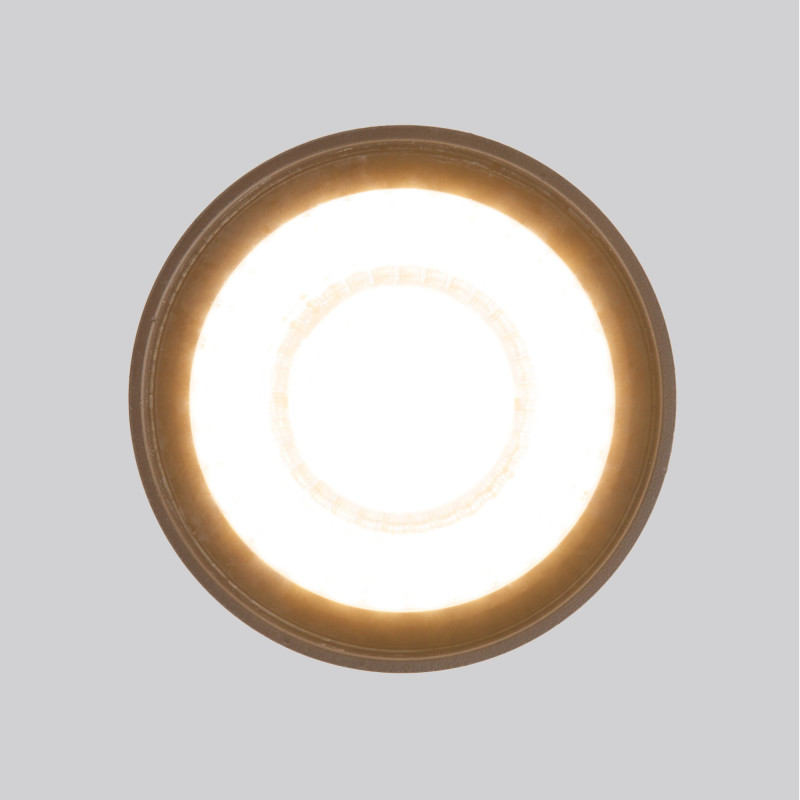 Накладной уличный светильник Elektrostandard Light LED 2105 (35132/H) черный