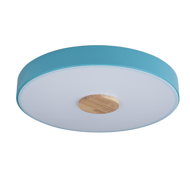 Потолочный детский светильник LOFT IT 10003/24 Blue