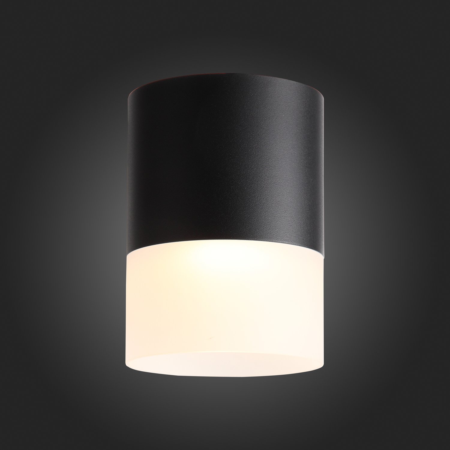 ST100.402.15 Светильник потолочный Черный LED 1*15W 3000K 1 170Lm Ra>80 120° D118xH150 170-240VV Накладные светильники