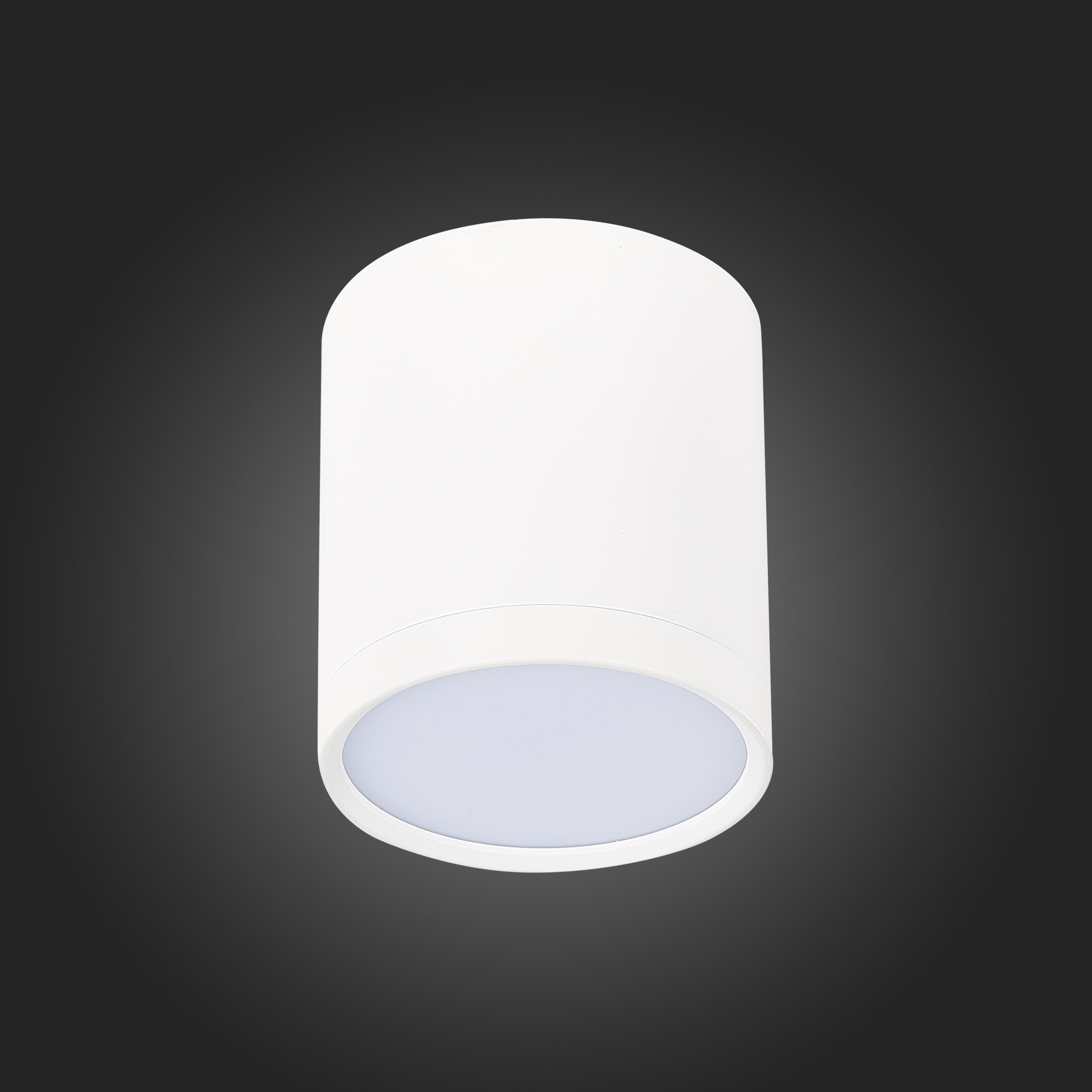 ST113.542.05 Светильник потолочный Белый LED 1*5W 4000K 390Lm Ra>90 120° IP20 D68xH75 170-240V Накладные светильники