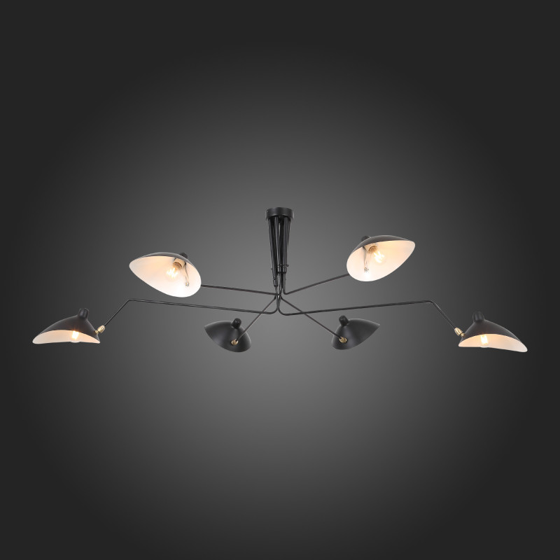 Накладная люстра ST-Luce SL305.402.06