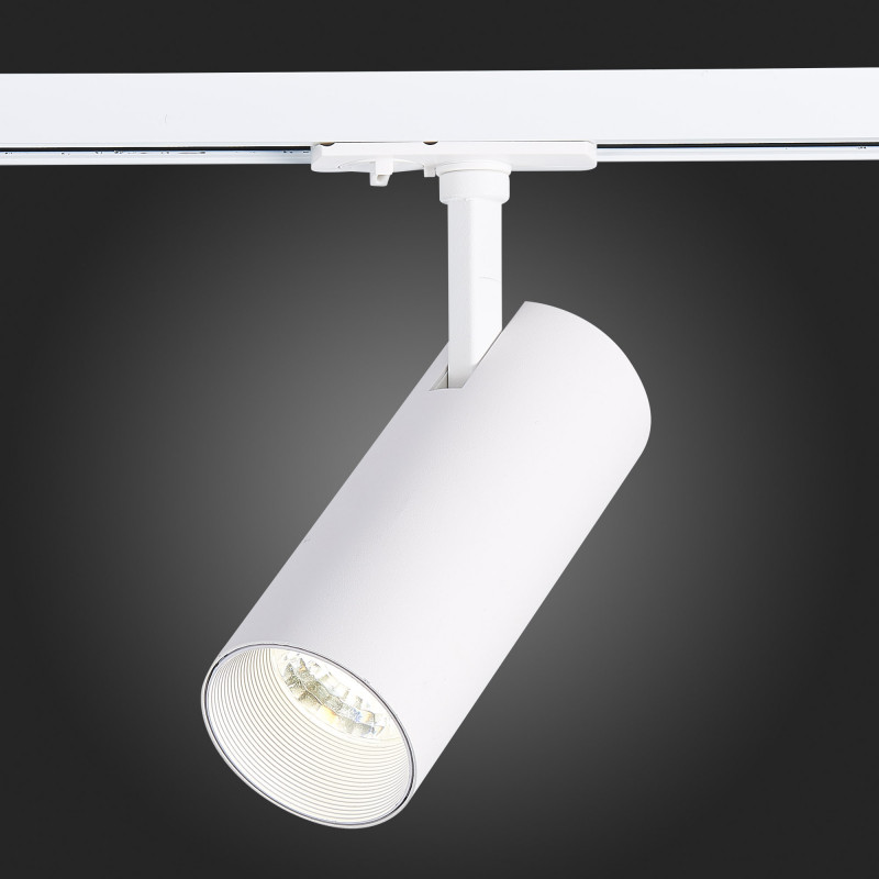 Светильник на шине ST-Luce ST350.546.20.24