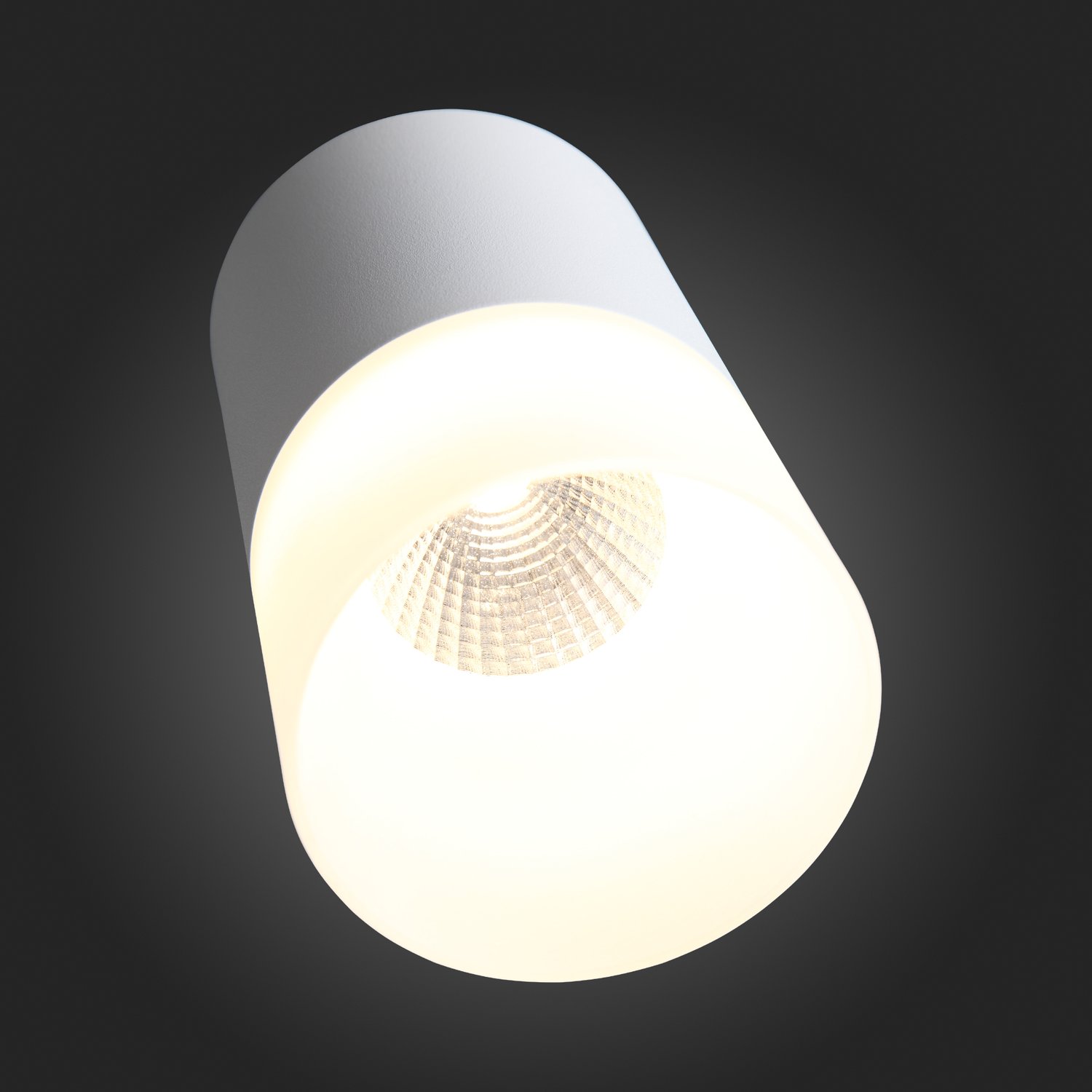 ST100.502.15 Светильник потолочный Белый LED 1*15W 3000K 1 170Lm Ra>80 120° D118xH150 170-240V Накладные светильники