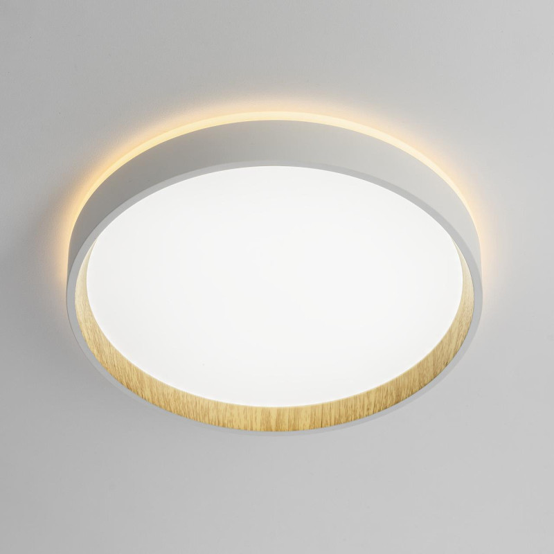 Накладной светильник Citilux CL750240