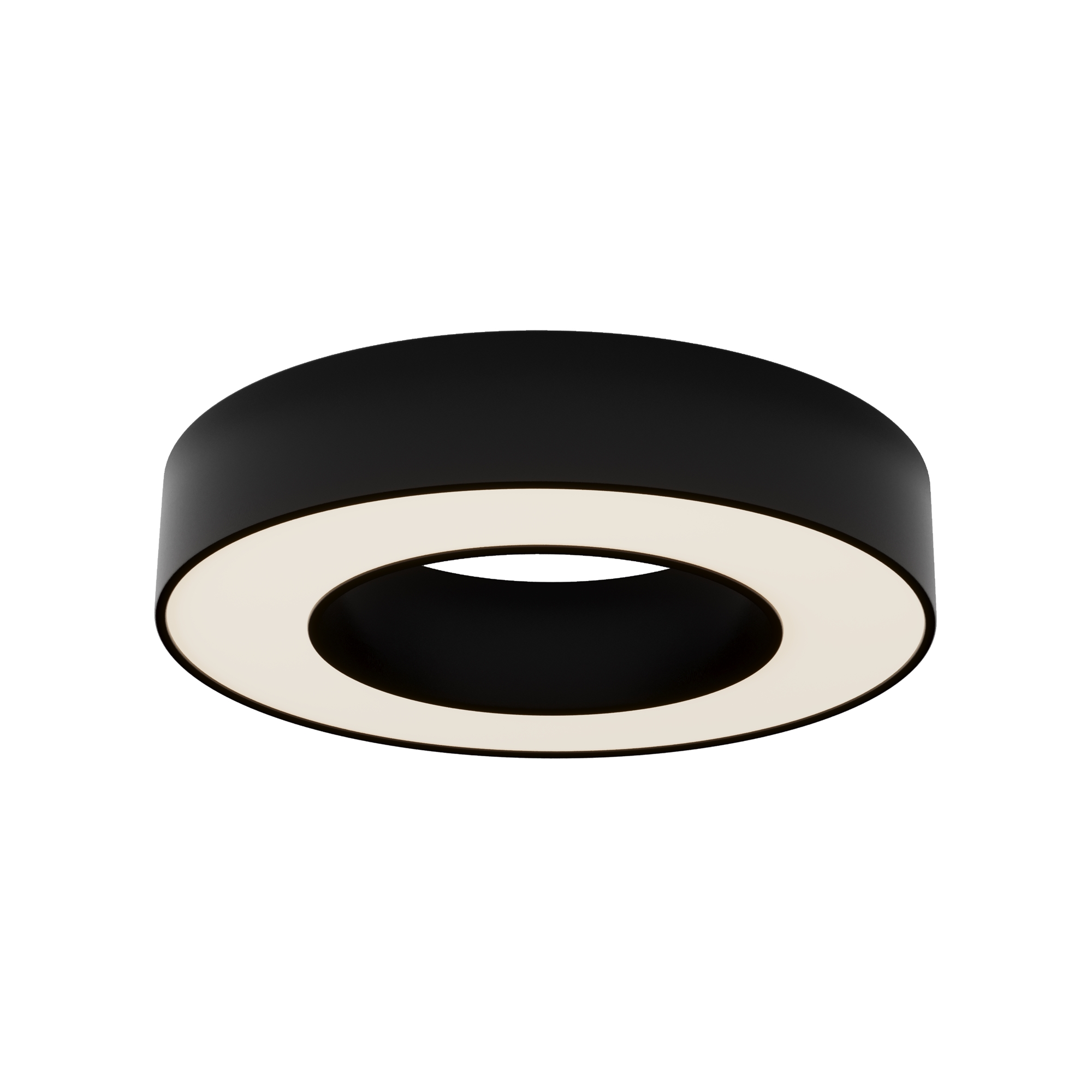 Потолочный светильник Technical C093CL-24W3K-B