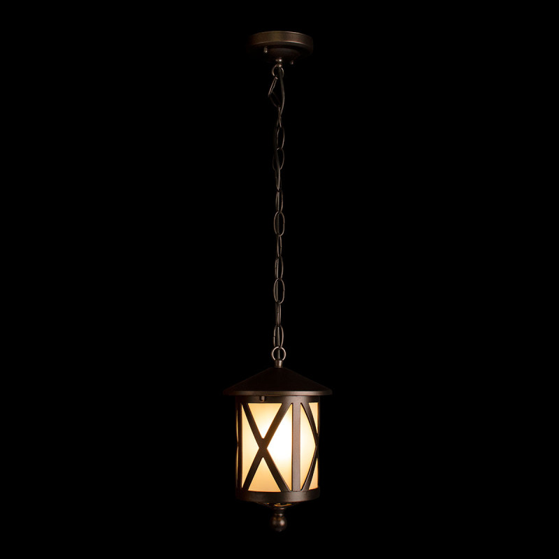 Подвесной уличный светильник LOFT IT 100016P
