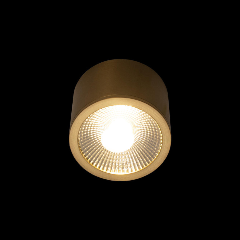 Накладной светильник LOFT IT 10187/B