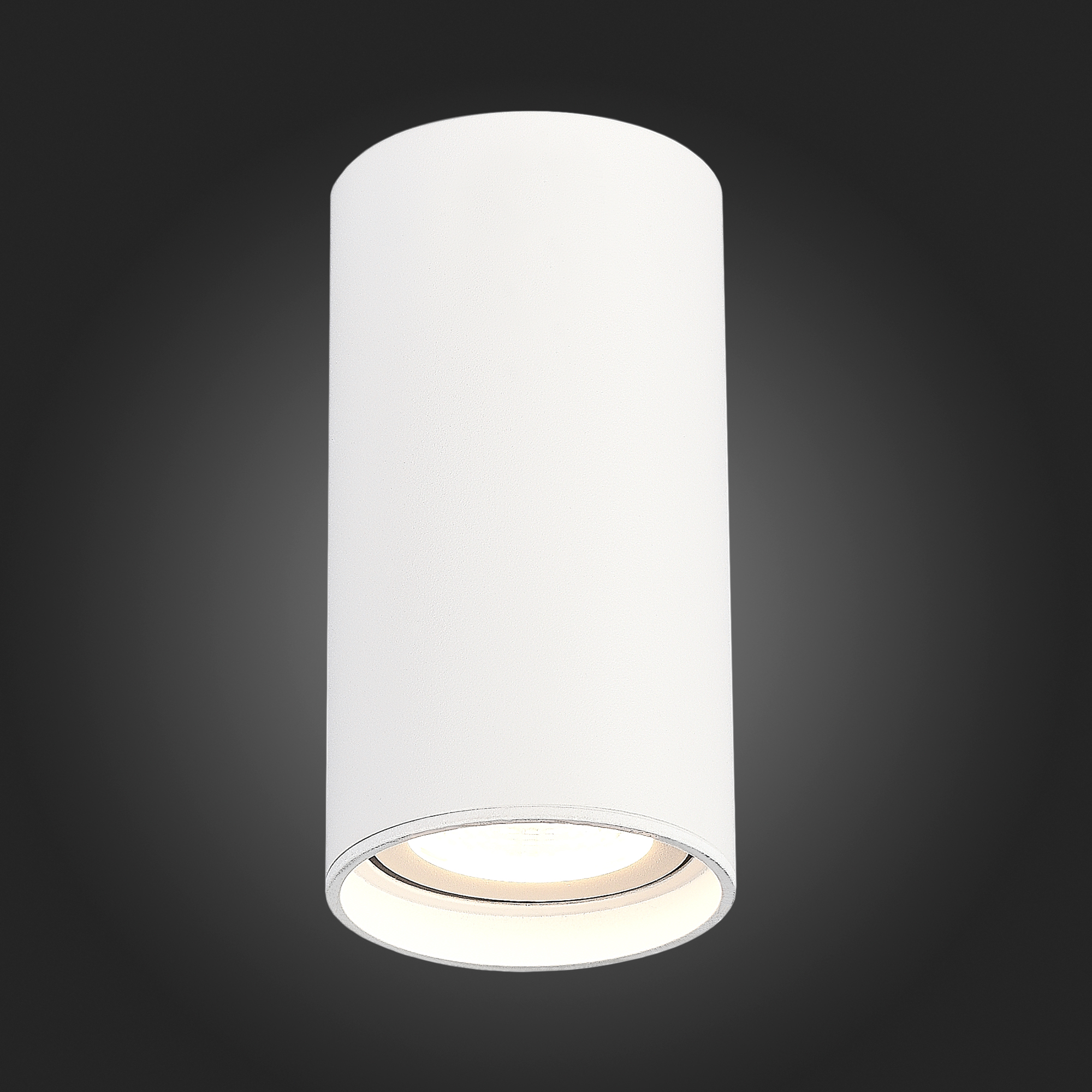 ST157.542.15 Светильник потолочный Белый LED 1*15W 4000K 1 200Lm Ra>90 60° IP44 D75xH140 220-265V Накладные светильники