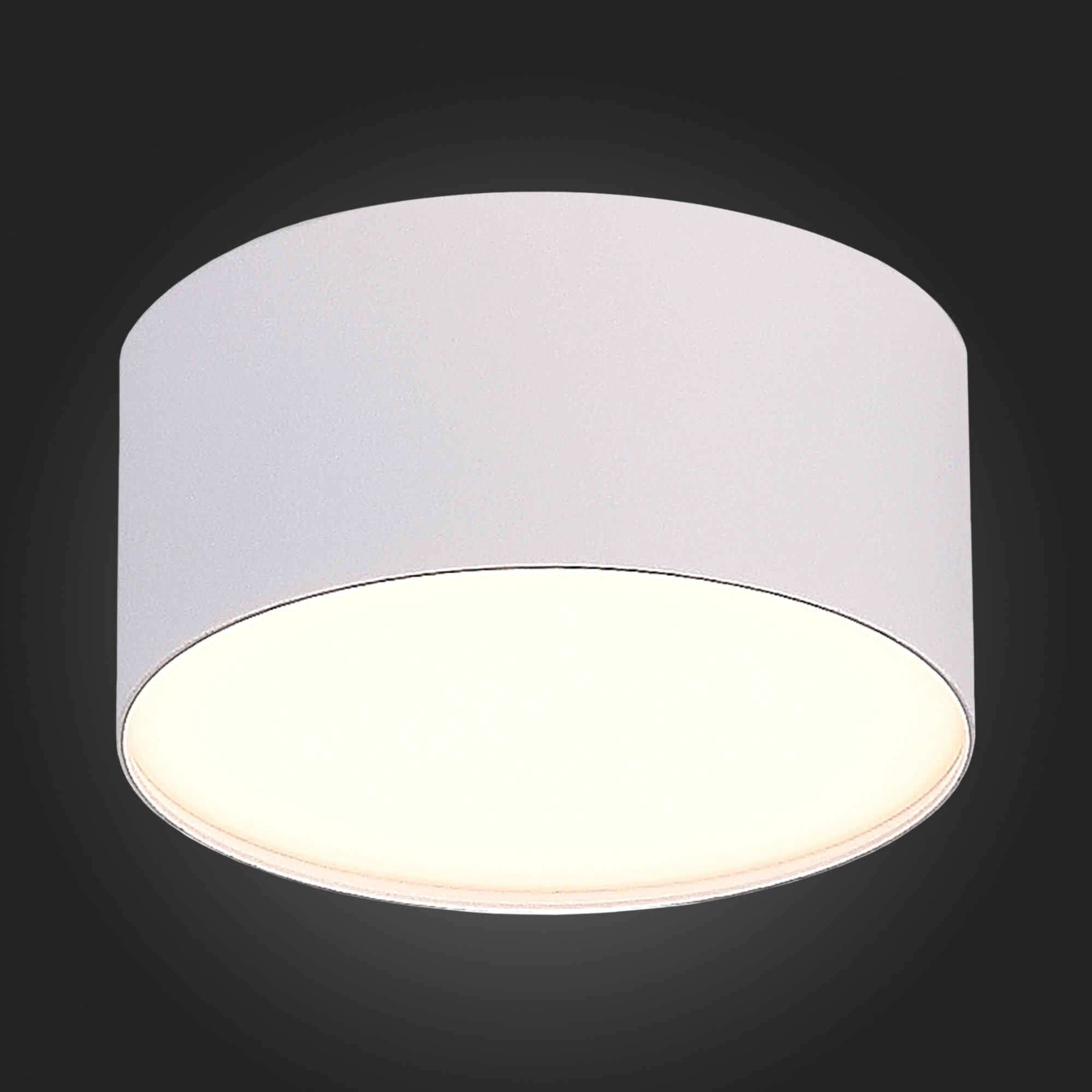 ST606.532.12 Светильник потолочный Белый LED 1*12W 3000K 1 080Lm Ra>85 120° IP20 D120xH55 185-265V Накладные светильники