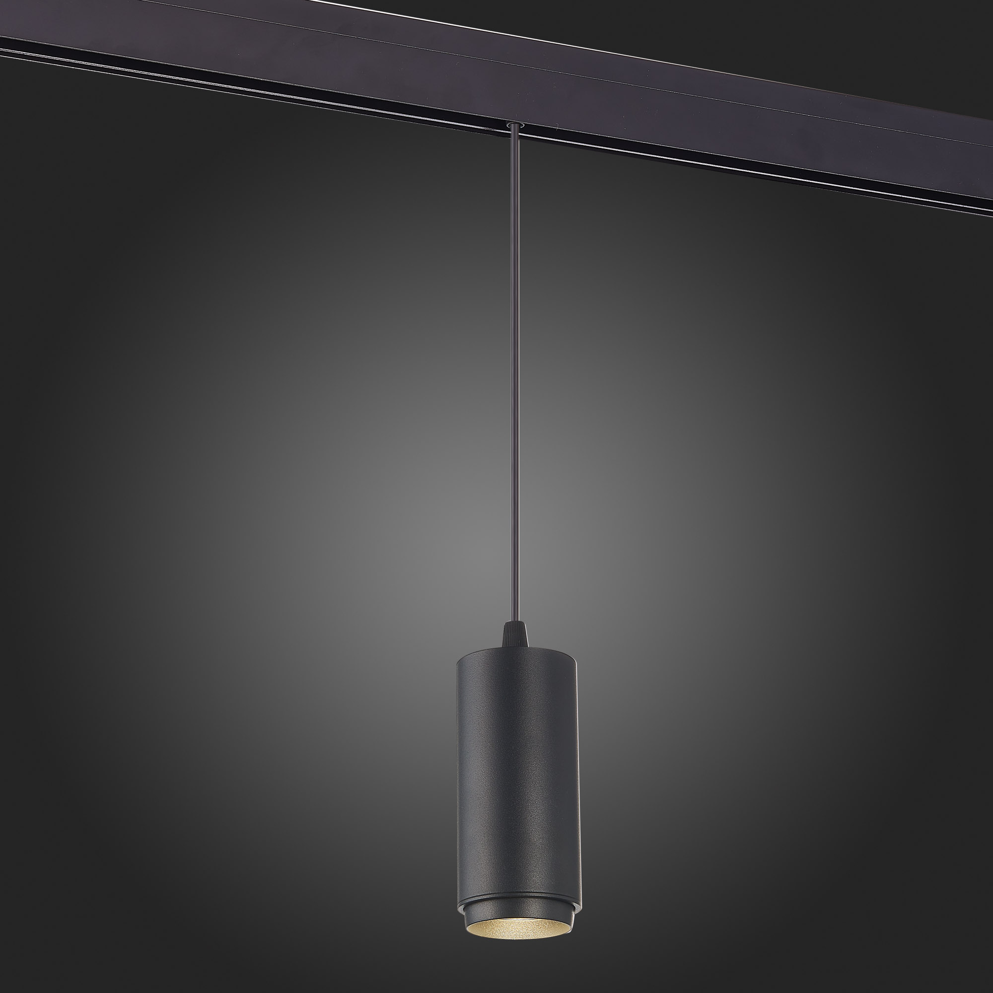 ST357.433.06 Магнитный трековый светильник подвесной ZOOM Черный LED 1*6W 3000K 667Lm Ra>80 10-60° I SKYLINE 48