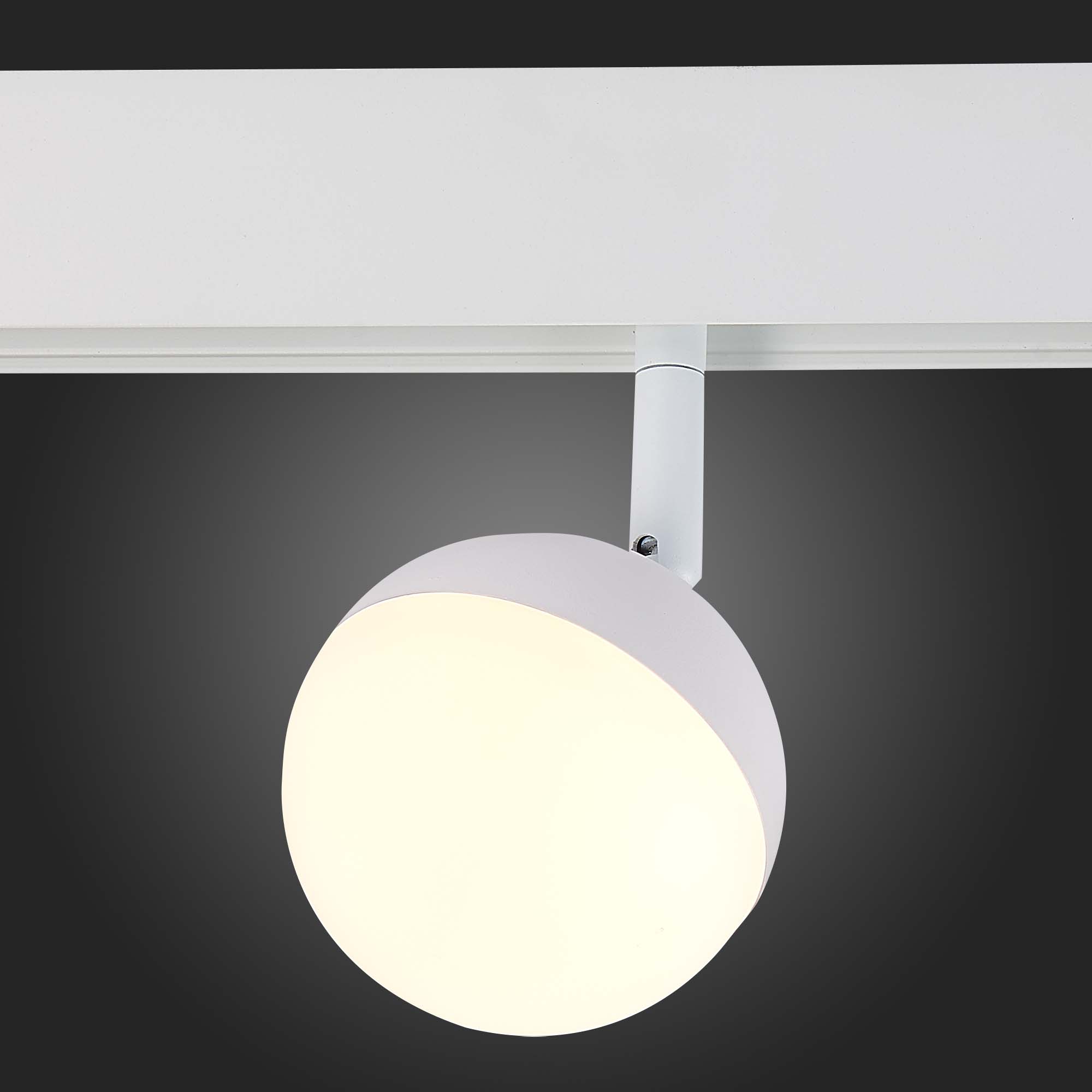 ST358.536.07 Магнитный трековый светильник Белый LED 1*7W 3000K 520Lm Ra>80 120° IP20 L120xW90xH192 SKYLINE 48