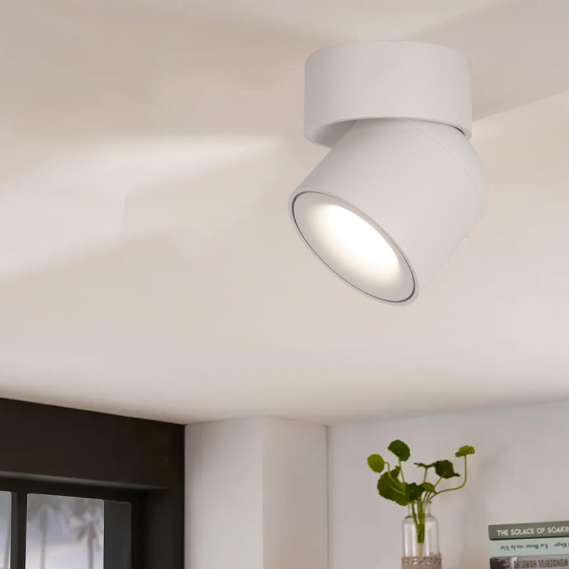 Накладной светильник LOFT IT 10180 White 3000K