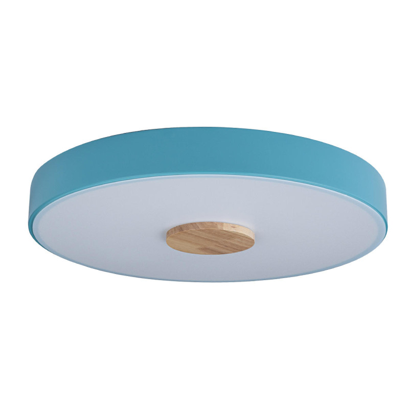 Потолочный детский светильник LOFT IT 10003/24 Blue
