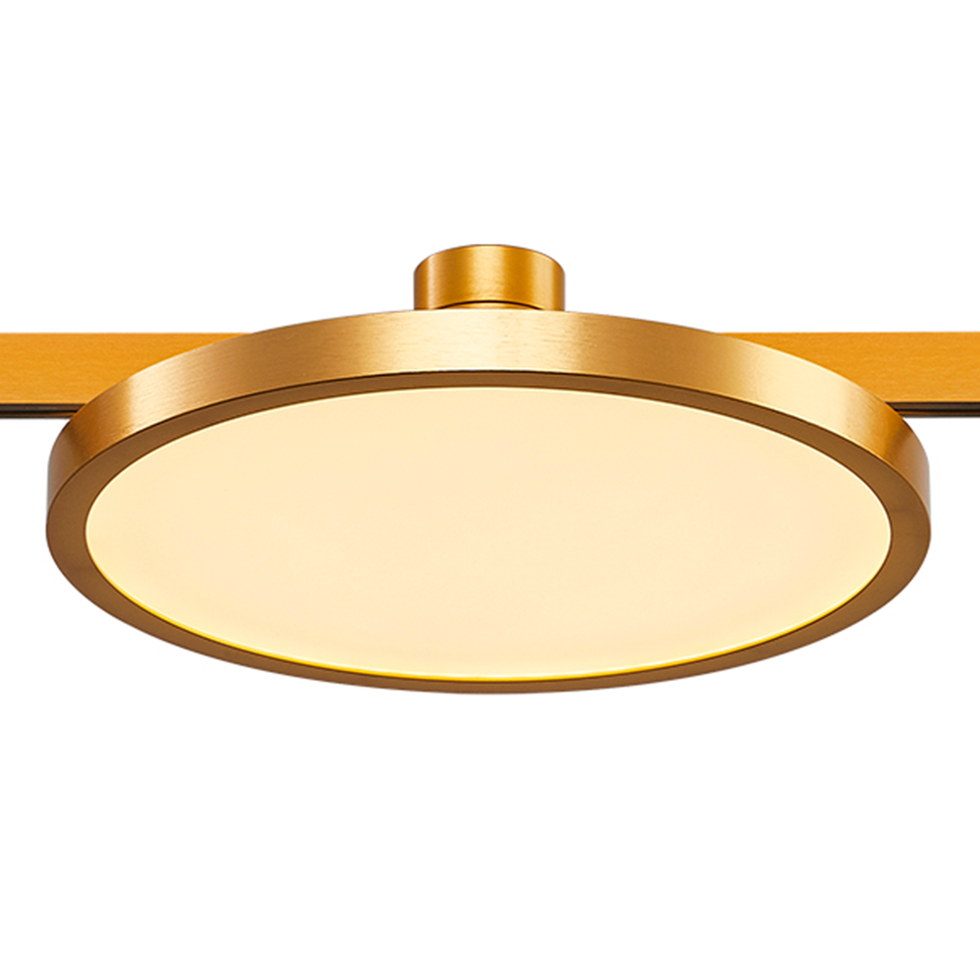 ST818.206.12 Магнитный трековый светильник FARM Золотистый LED 1*10W 3000K 520Lm Ra80 120 IP20 D168x FARM