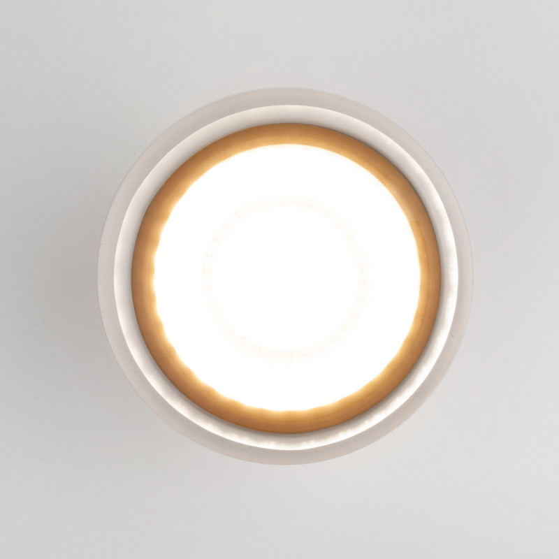 Накладной уличный светильник Elektrostandard Light LED 2107 (35140/H) белый