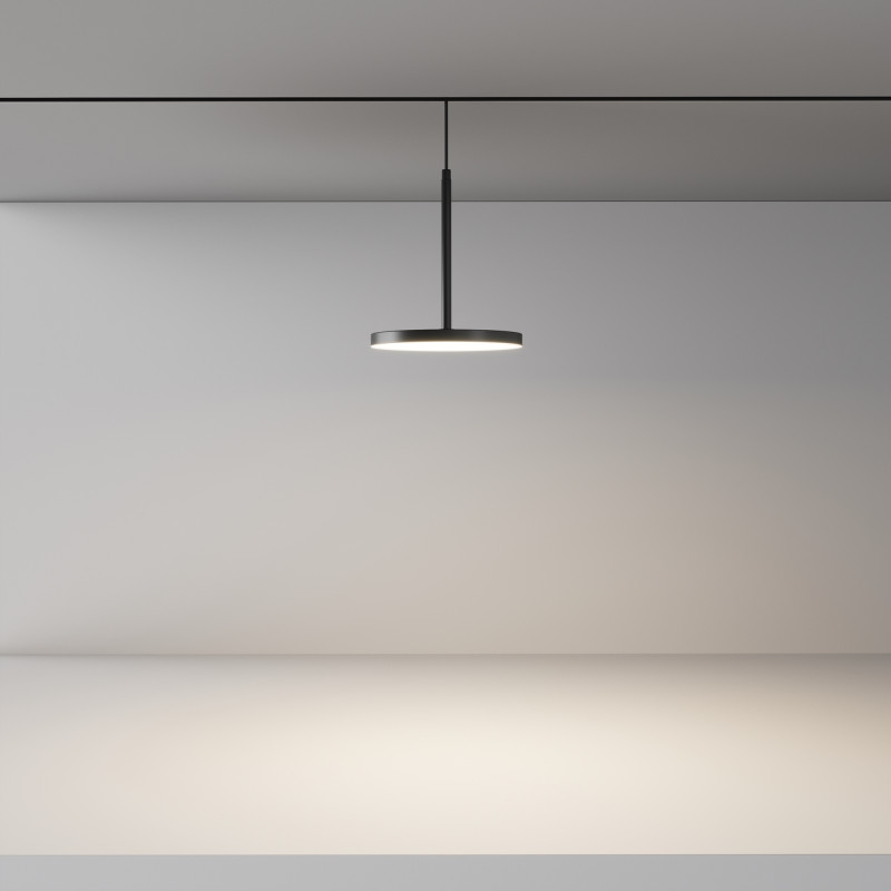 Светильник на шине Maytoni Technical TR123-4-15W-DS-B