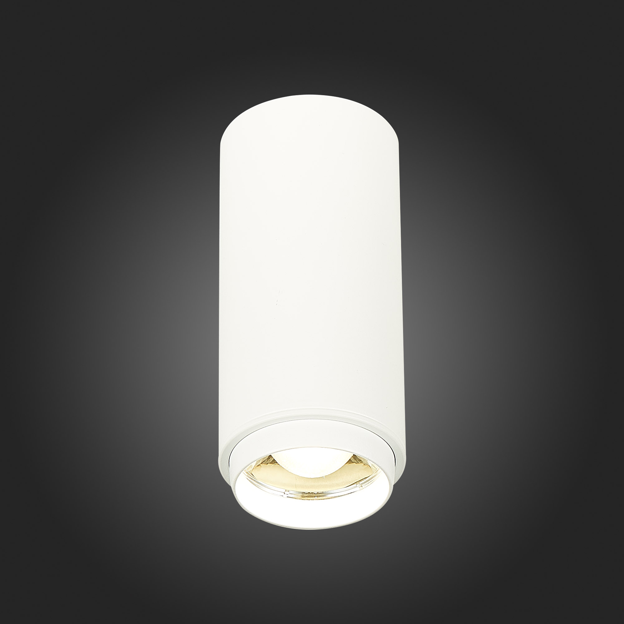 ST600.542.10 Светильник потолочный Zoom Белый LED 1*10W 4000K 1 000Lm Ra>80 15-60° IP20 D59xH130 170 Накладные светильники