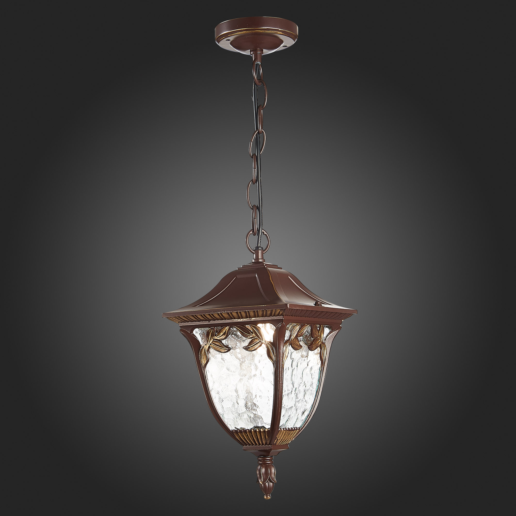 SL083.703.01 Светильник уличный подвесной ST-Luce Кофейный/Кофейный, Прозрачный E27 1*60W CHIANI